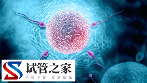32岁女性做试管促排双侧卵巢总共才8个基础卵泡正常吗?(图1)
