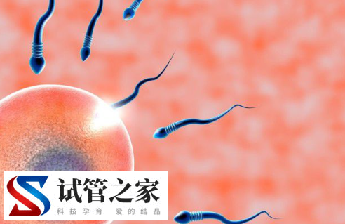 44岁女性做试管多少个基础卵泡才是正常的?浏览量5 评论0(图1) 44岁女性做试管多少个基础卵泡才是正常的?(图1)