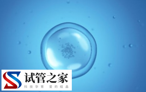 试管婴儿移植成功后甲减的比例会比之前的高吗?(图1)