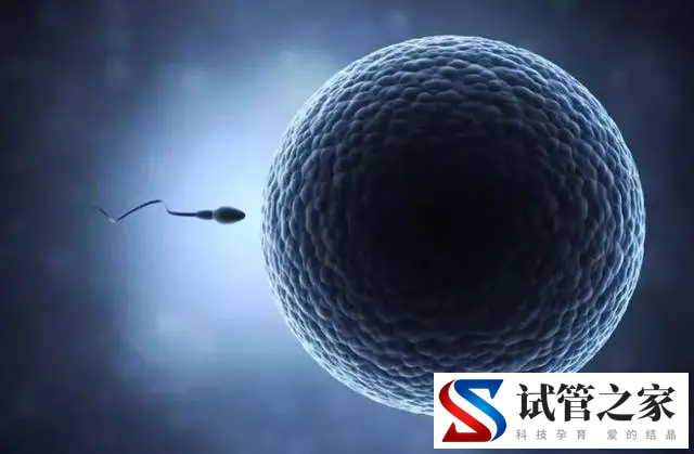 武汉同济生殖医学专科医院第三代试管可以做双胞(多胎)胎吗？