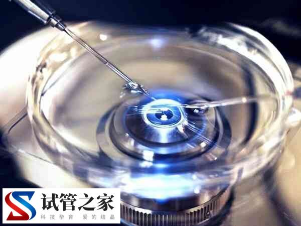 打破卵针隔天卵泡变小怎么回事(图1)