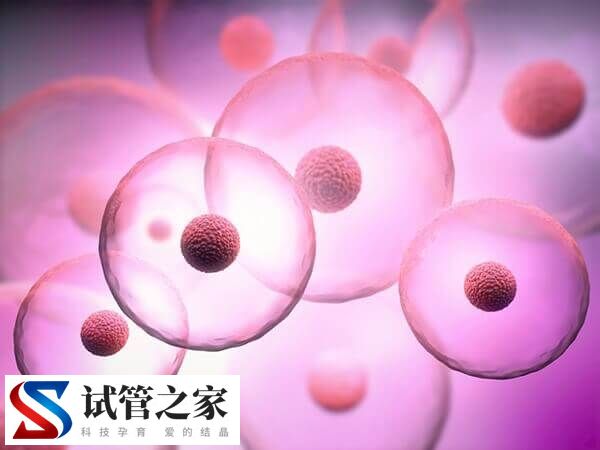 促排怎么能促更多的卵泡(图1)