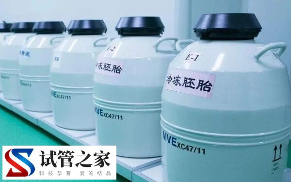 鲜胚和冻胚哪个成功率高(图1)