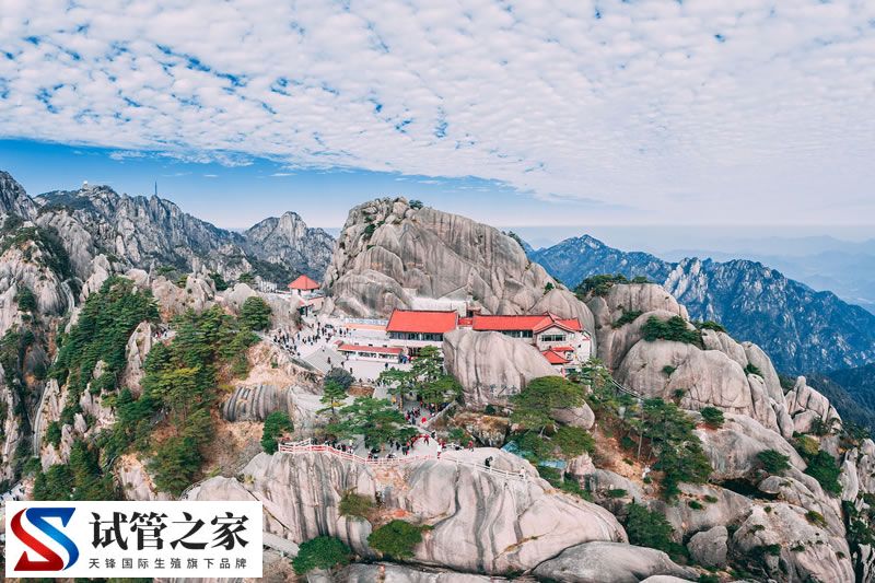 “小伙泰山陪爬年入30万”引热议 当事人回应：已考虑退出