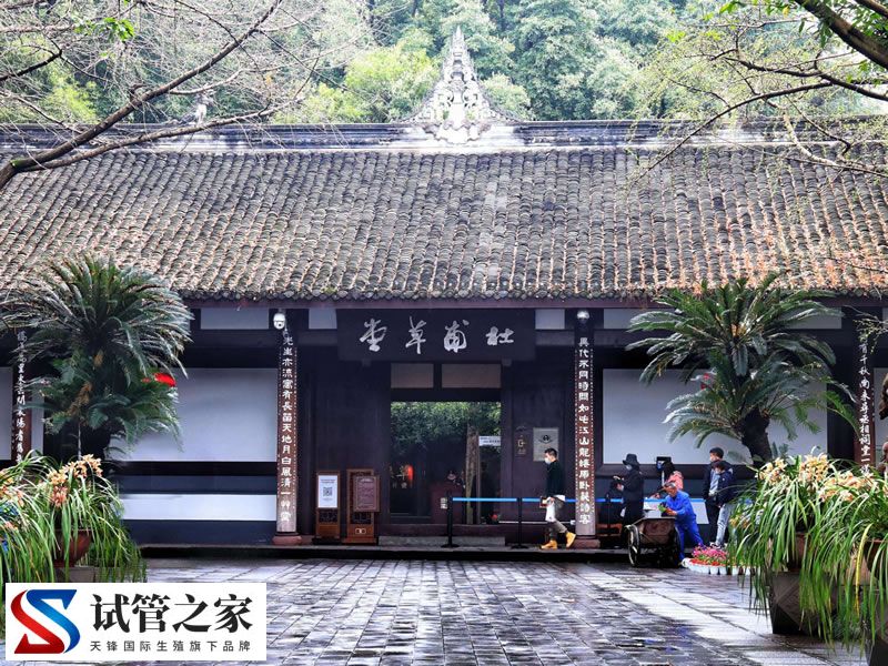 “花式”报春 万物复苏 各地春色醉游人