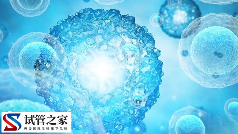 不排卵能不能做试管婴儿(图2)