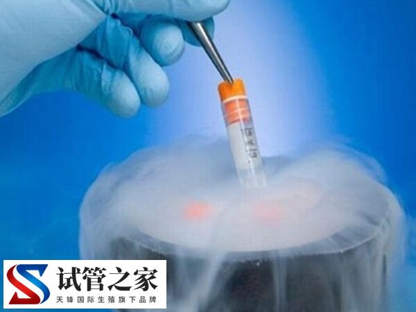 冷冻精子做试管婴儿成功率怎么样