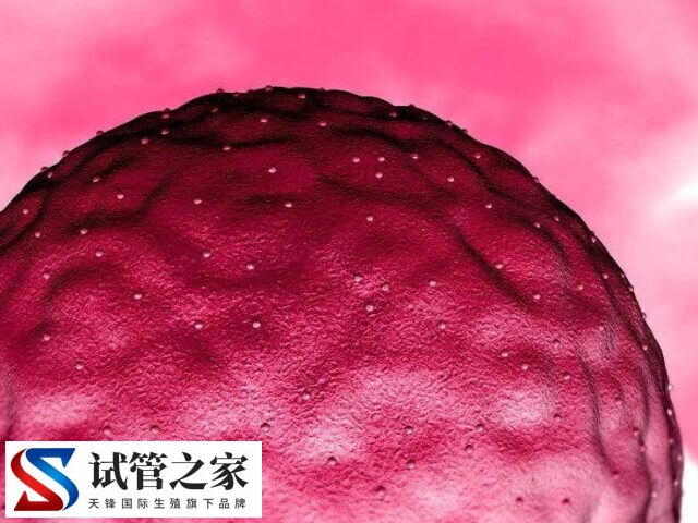 高龄试管移植后怎样容易着床(图1)