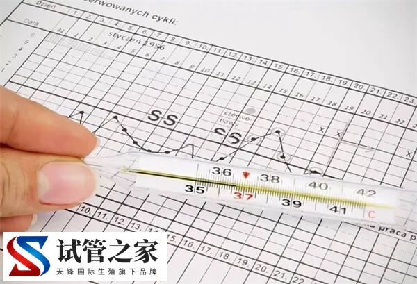 试管着床后体温有什么变化(图1)