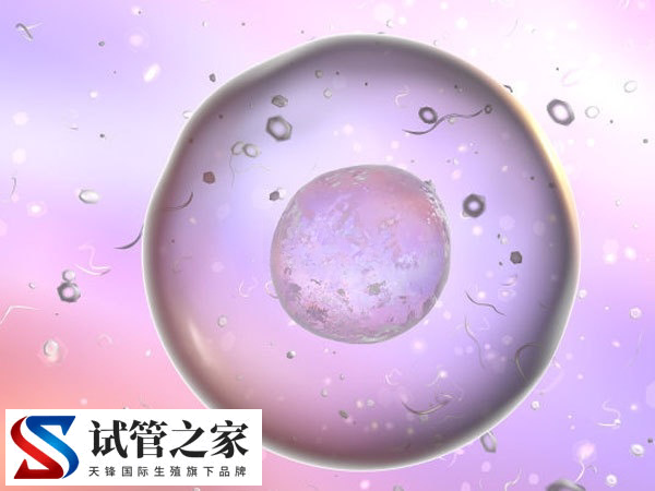 一侧卵巢取几个卵正常(图3)