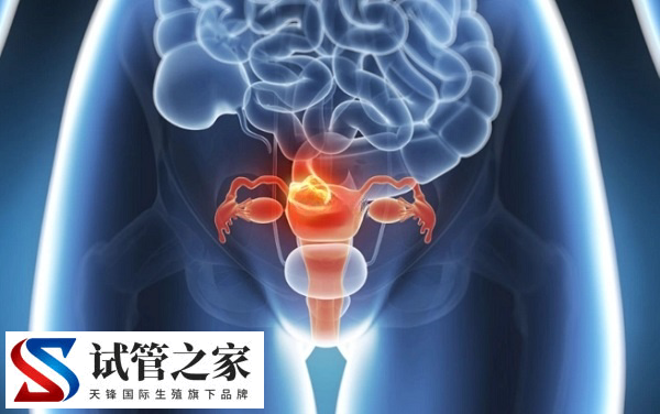 实施三代试管吃药有无副作用(图1)