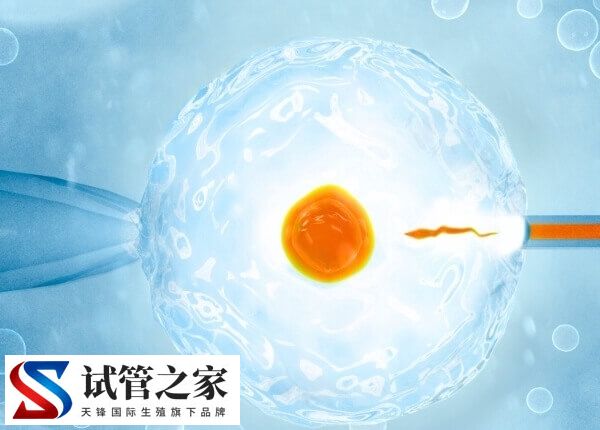 囊胚是4开头好还是5开头好