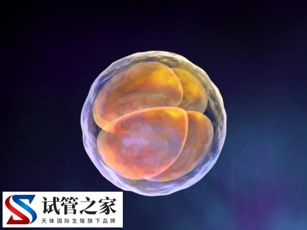 卵泡24是不是过大了(图3)