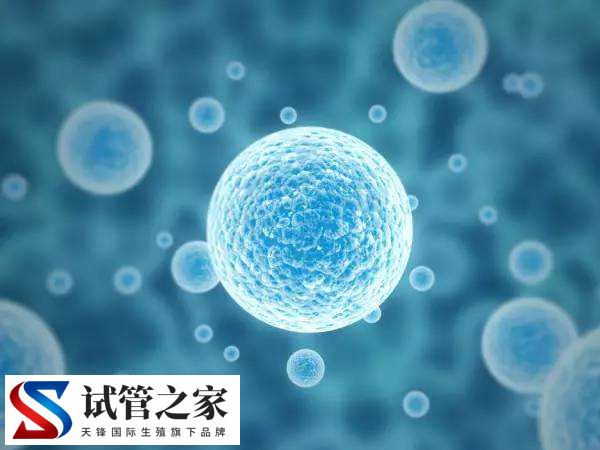 注射促排卵针十天卵泡长到多少正常(图1)