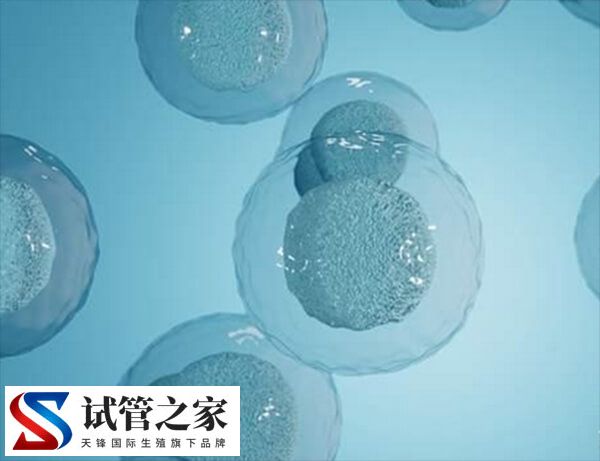 试管怎样让卵泡长均匀(图2)