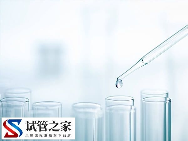 试管怎么备孕成功率高(图2)