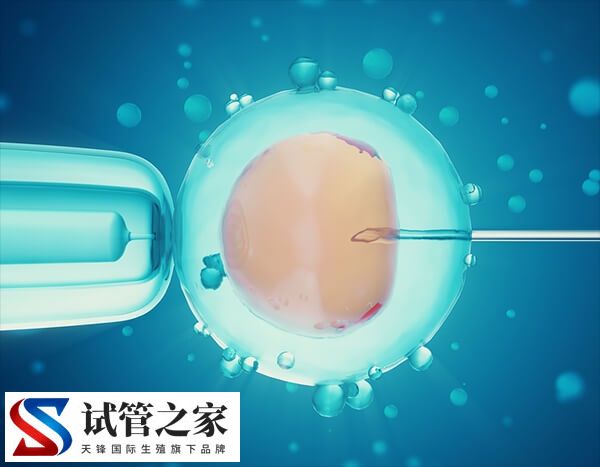 试管能不能移植鲜胚(图1)