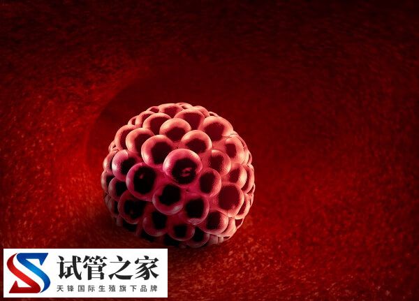 试管移植了胚胎是不是就能着床(图1)