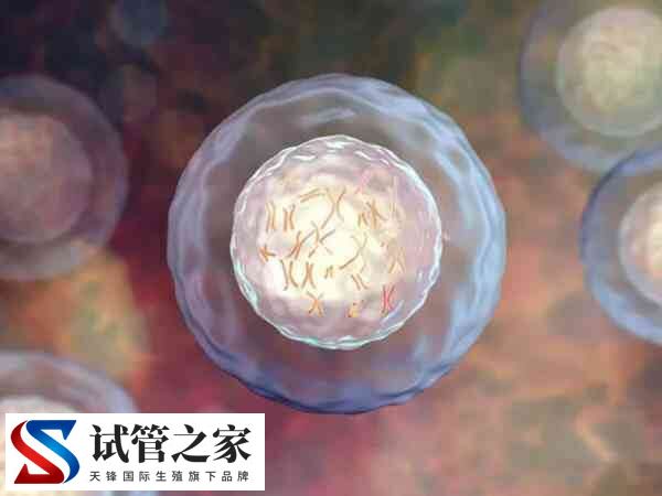试管移植了胚胎是不是就能着床(图2)