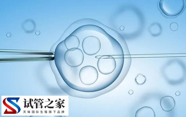 试管移植几个比较好(图1)