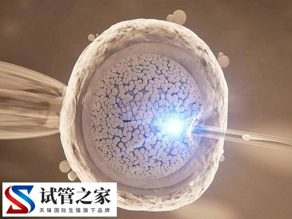前往北京做试管费用是多少(图1)