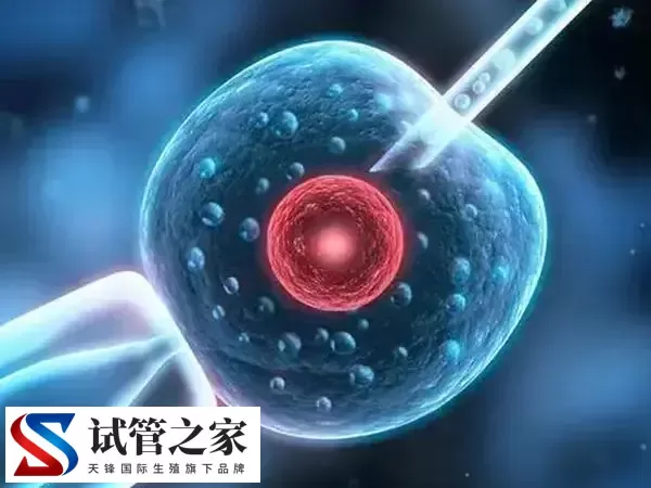 试管取卵和移植哪个疼(图2)