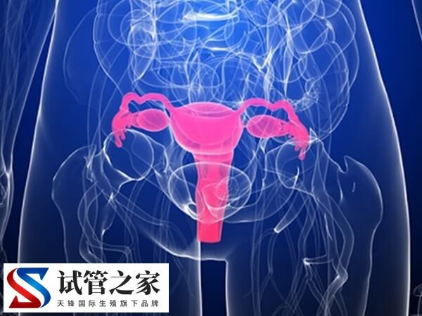 宫腔灌注后什么时候移植囊胚(图2)
