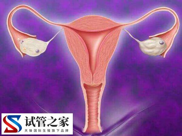 试管怀孕后孕酮低于10有没有影响(图1)
