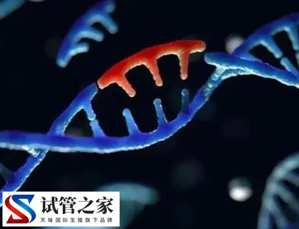 QRICH2基因发生突变试管能不能解决(图2)