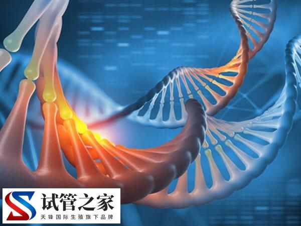 什么是DAAF6基因突变(图1)