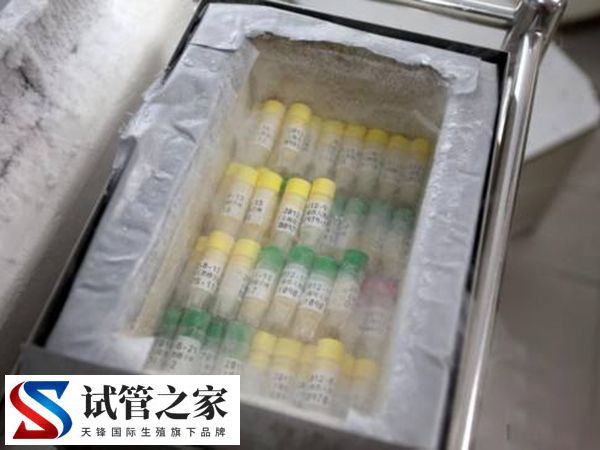 胚胎是否会冻坏(图2) 胚胎是否会冻坏(图2)