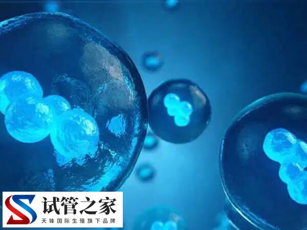 囊胚4ab和4bb哪个更好着床(图1)