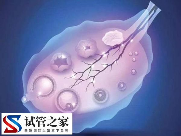 做试管时夜针打hcg是什么原因(图1)