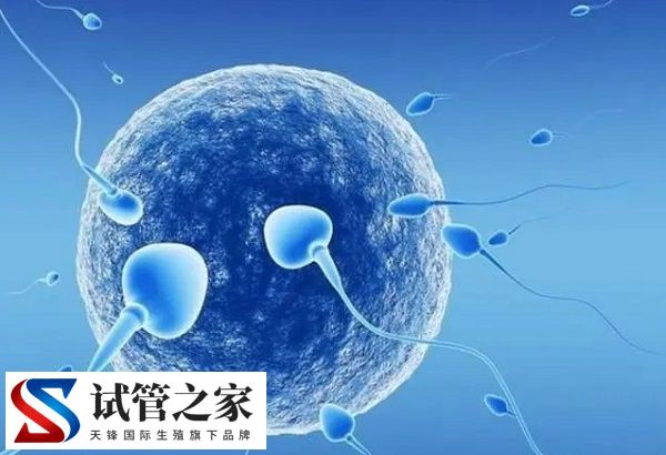 女性打夜针后能不能洗头发(图1) 女性打夜针后能不能洗头发(图1)