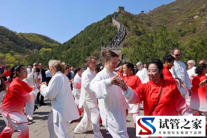 中挪人士居庸关长城以“太极拳”会友
