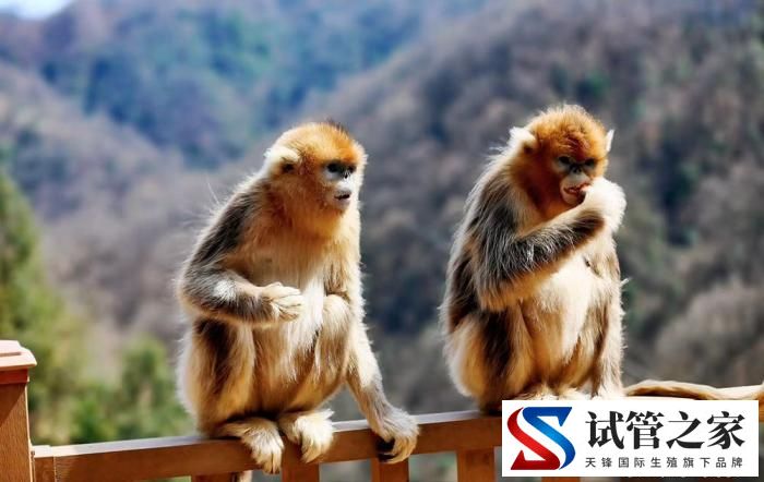 陇上江南发出“双请柬”：乡野有风景亦有“钱”景