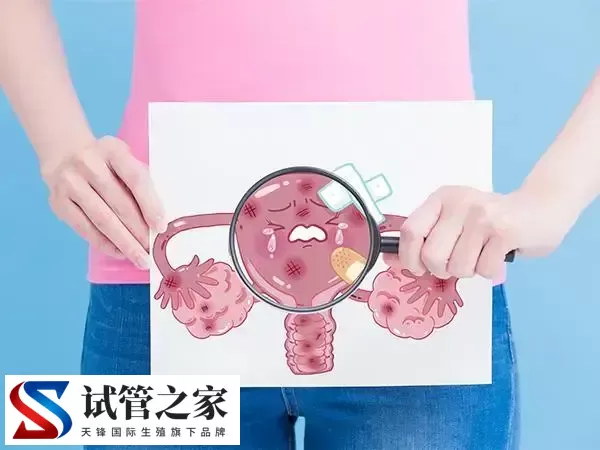 腺肌症可不可以做双胞胎试管(图1)