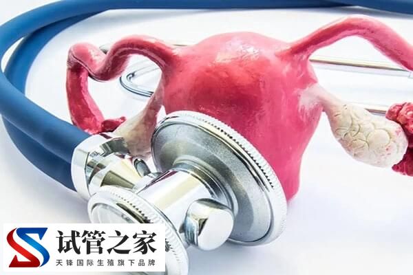 腺肌症可不可以做双胞胎试管(图2)