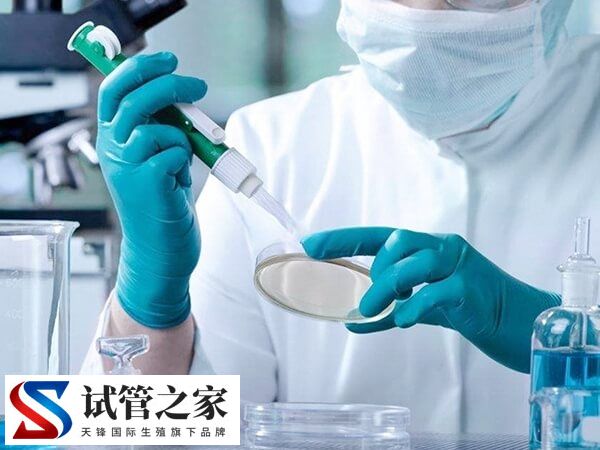 三代试管是否必须羊穿(图2)