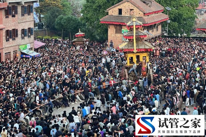 尼泊尔民众庆祝尼历新年