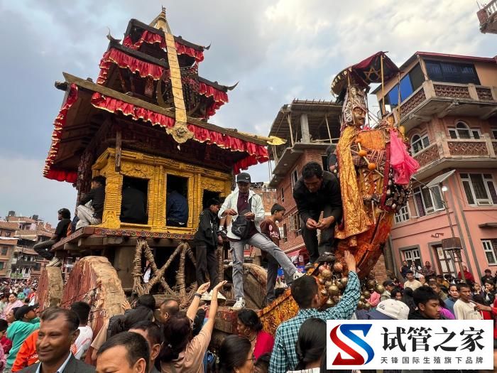 尼泊尔民众庆祝尼历新年(图2)