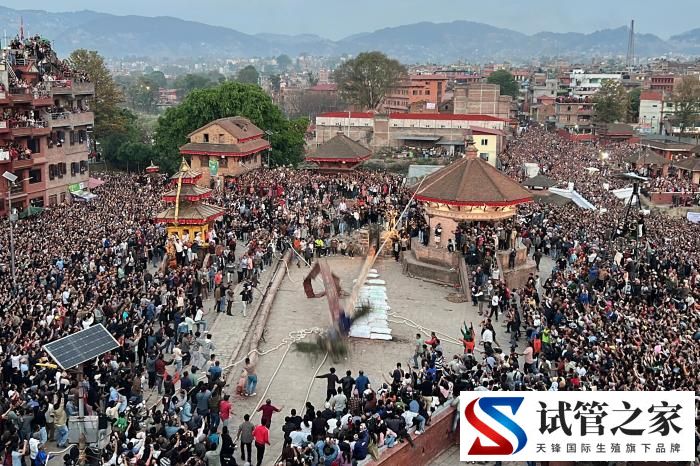 尼泊尔民众庆祝尼历新年(图3) 尼泊尔民众庆祝尼历新年(图3)