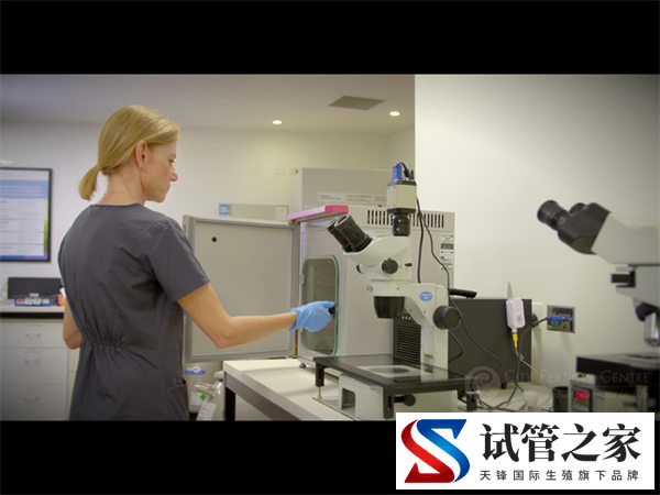 深入解析试管超长方案促排的优势!揭示其背后的科学原理(图1) 深入解析试管超长方案促排的优势!揭示其背后的科学原理(图1)