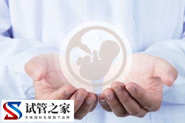 移植囊胚的禁忌是什么(图2)