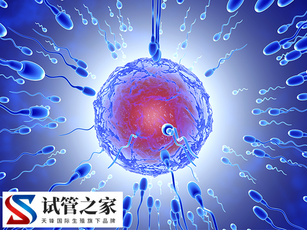 一代试管能不能转三代(图1)
