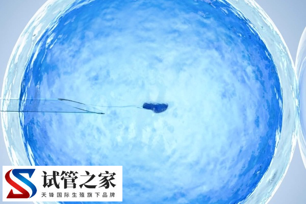 台州试管和温州试管是否一样(图1)