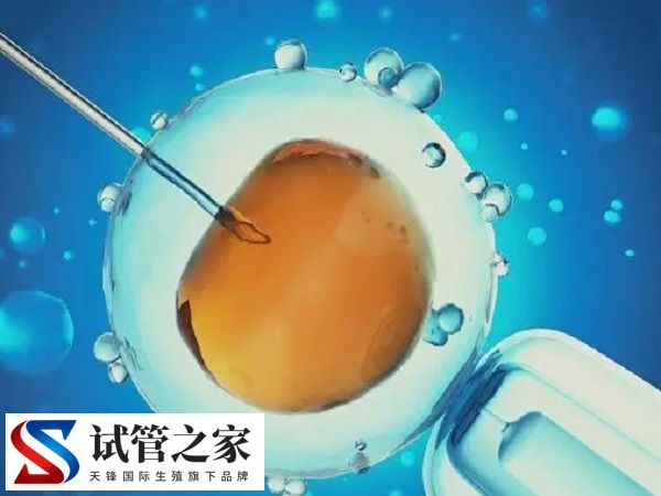 台州试管和温州试管是否一样(图2)