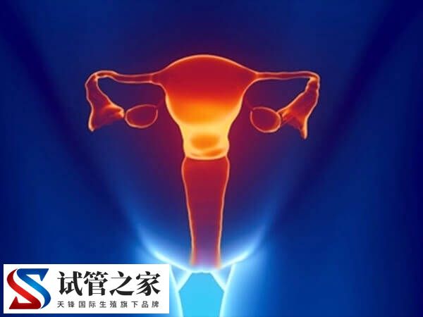 宫腔口粘连做试管婴儿一定要先手术再移植吗？(图1)