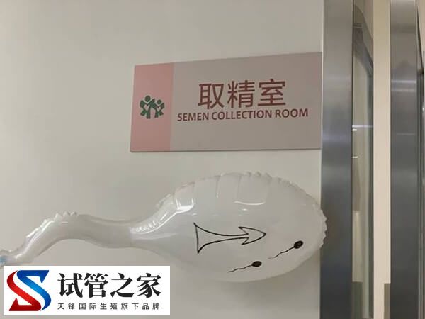 做试管婴儿是怎么采精的(图2)