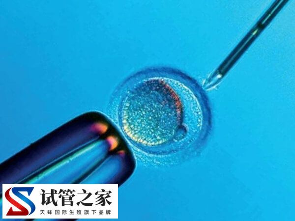 促排卵不好是什么原因引起的(图1)